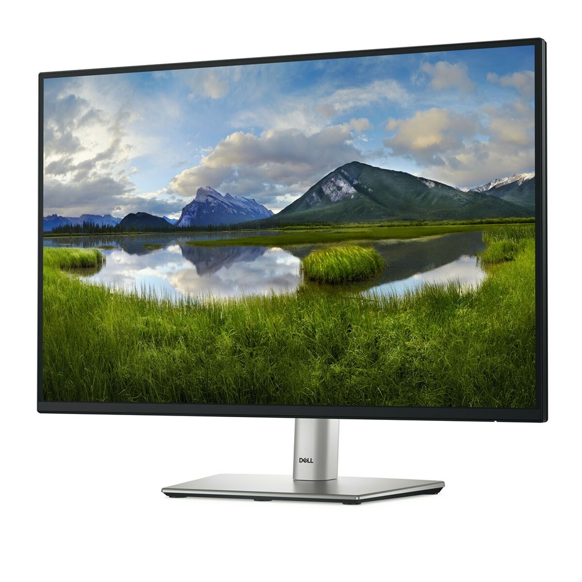 Skærm Dell P2425  24,1" HD WUXGA 100 Hz